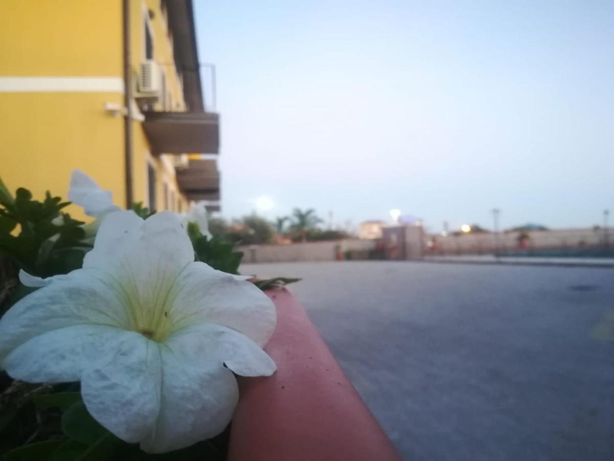 Bed and Breakfast I Colori Dell'Etna San Giovanni La Punta Zewnętrze zdjęcie